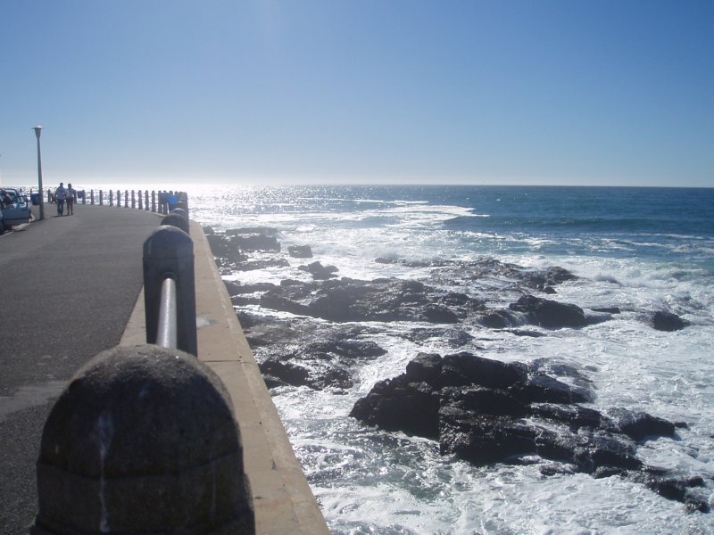 KeHa_in_South_Africa - 027